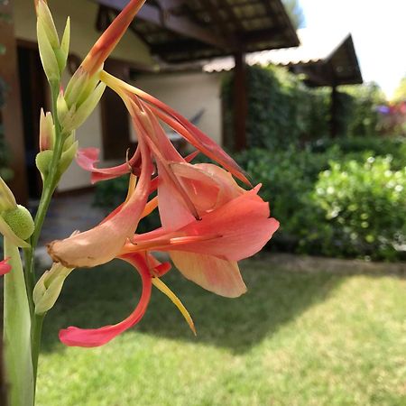 Pousada Rancho Paraiso Porto de Pedras Ngoại thất bức ảnh