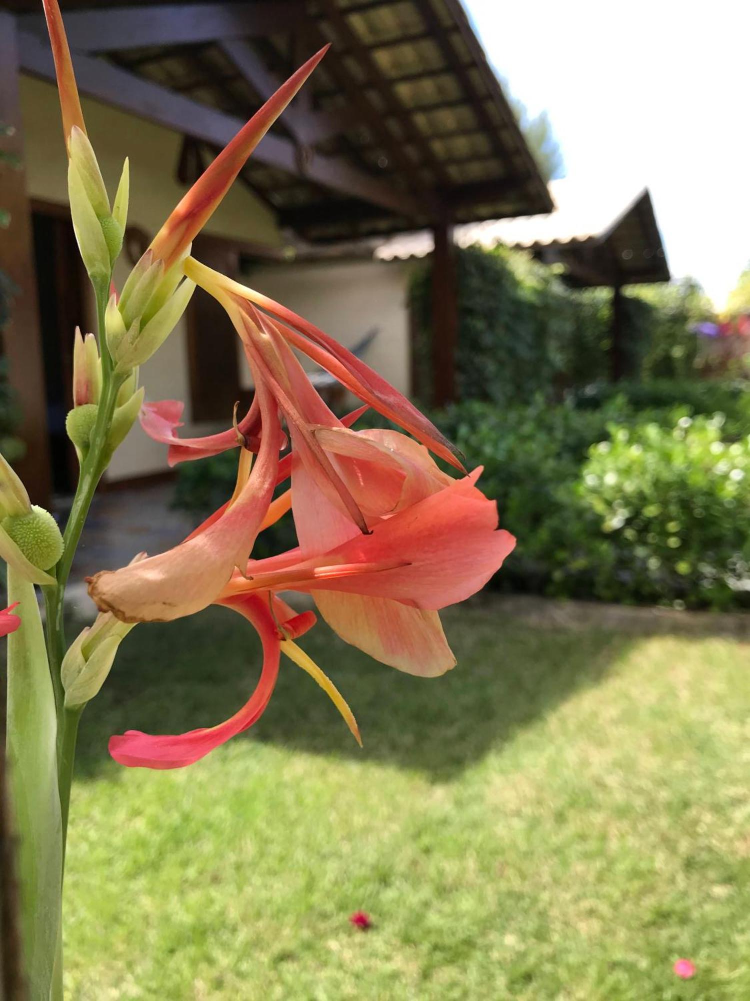 Pousada Rancho Paraiso Porto de Pedras Ngoại thất bức ảnh